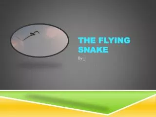The Flying Snake