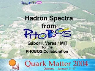 Hadron Spectra from