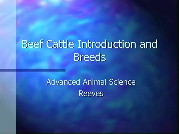 beef cattle introduction and breeds