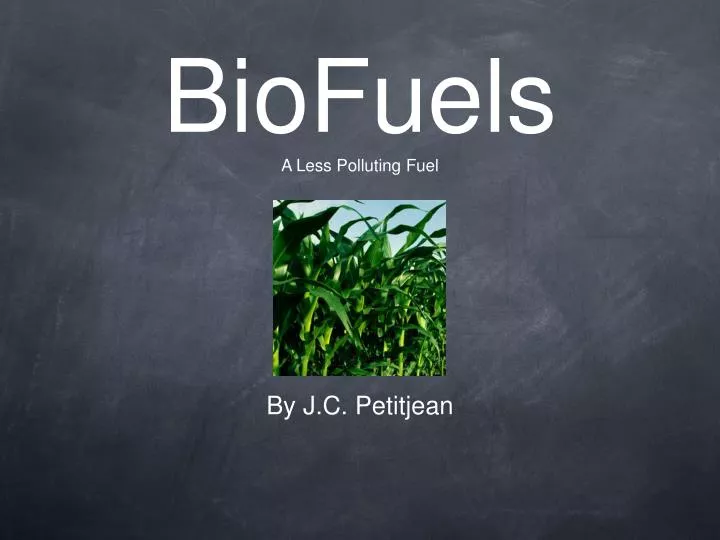 biofuels a less polluting fuel