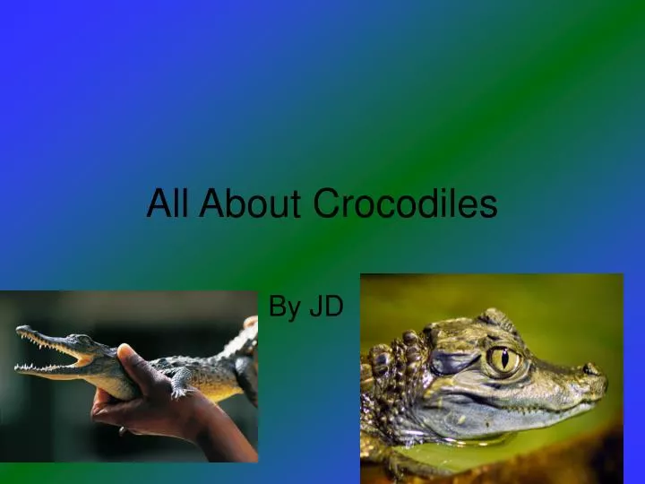 all about crocodiles