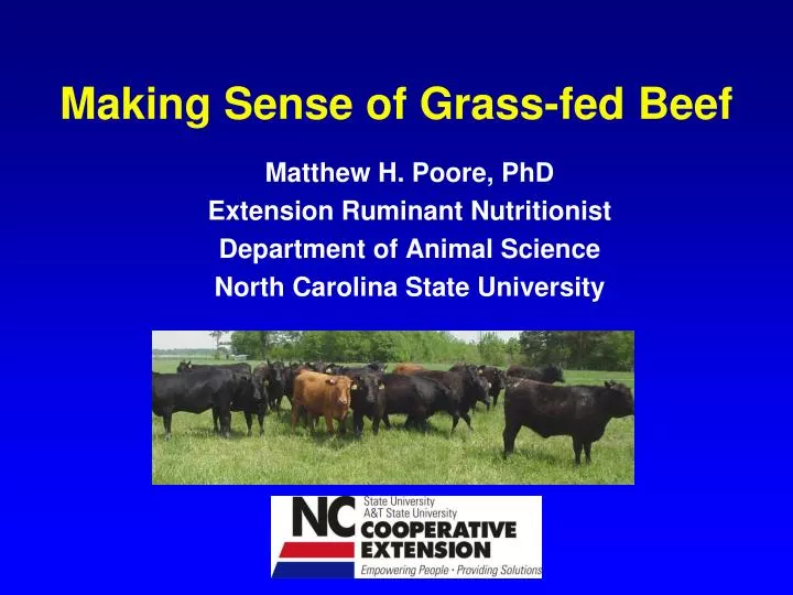 making sense of grass fed beef