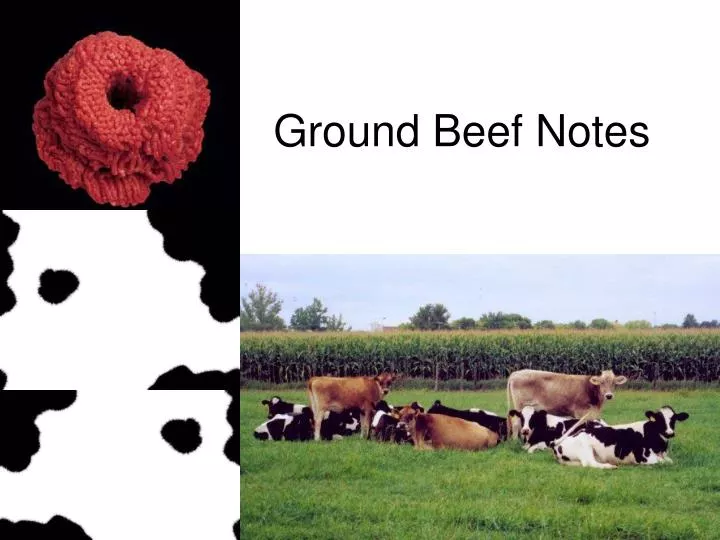 ground beef notes