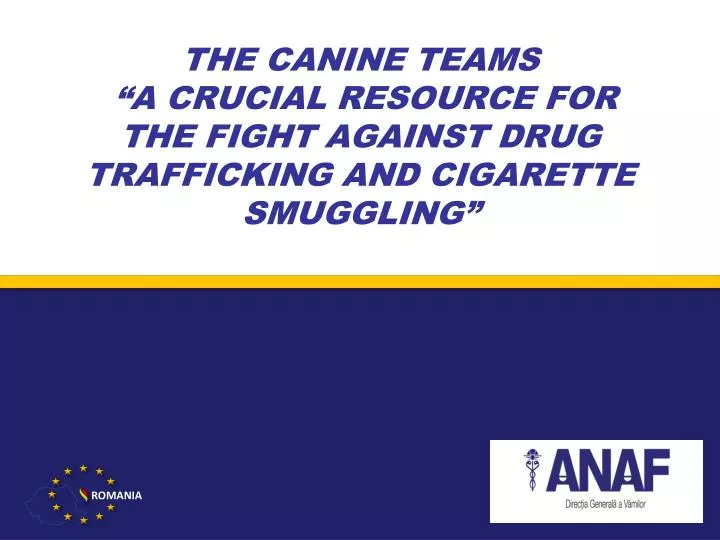 the canine teams a crucial resource for the fight against drug trafficking and cigarette smuggling