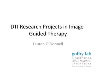 DTI Research Projects in Image-Guided Therapy