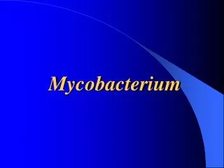 Mycobacterium