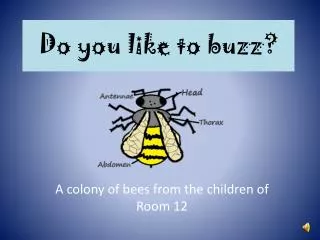 Do you like to buzz?