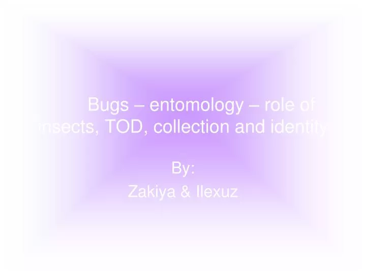 bugs entomology role of insects tod collection and identity