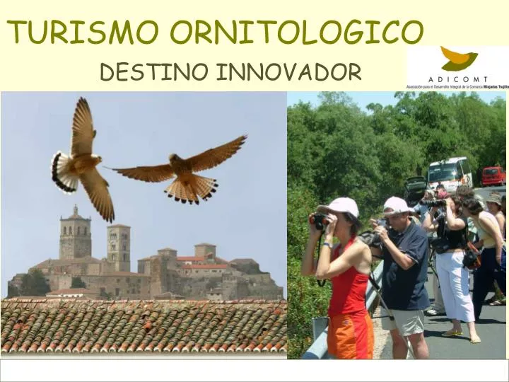 turismo ornitologico