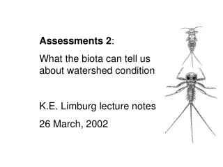 Assessments 2 : What the biota can tell us about watershed condition K.E. Limburg lecture notes