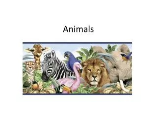 animals