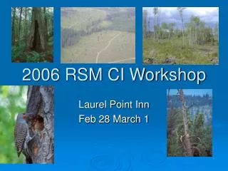 2006 RSM CI Workshop