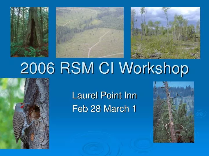 2006 rsm ci workshop