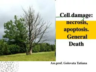 Cell damage: necrosis, apoptosis. General D eath