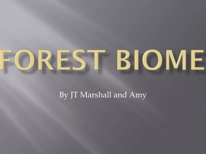 forest biome