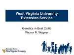 Understanding Genetics in Beef Cattle for Optimal Production - slide 1