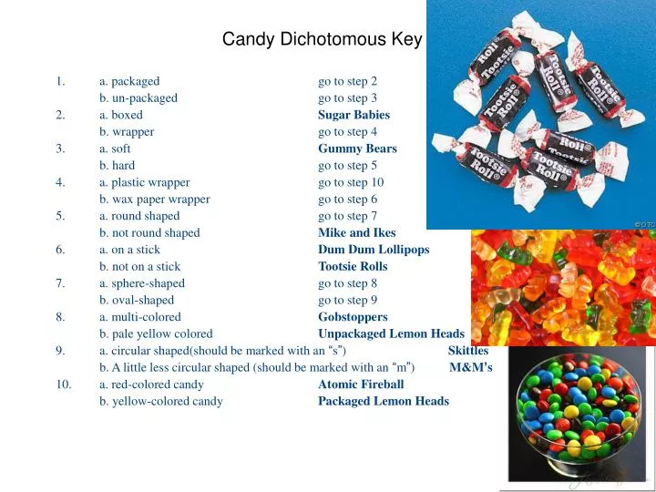 candy dichotomous key