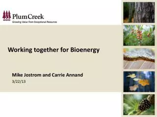 Working together for Bioenergy