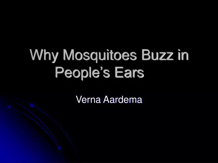 why mosquitoes buzz in people s ears