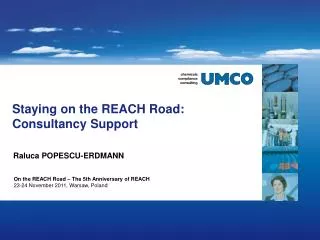 Staying on the REACH Road: Consultancy Support