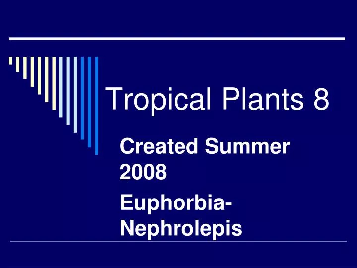 tropical plants 8