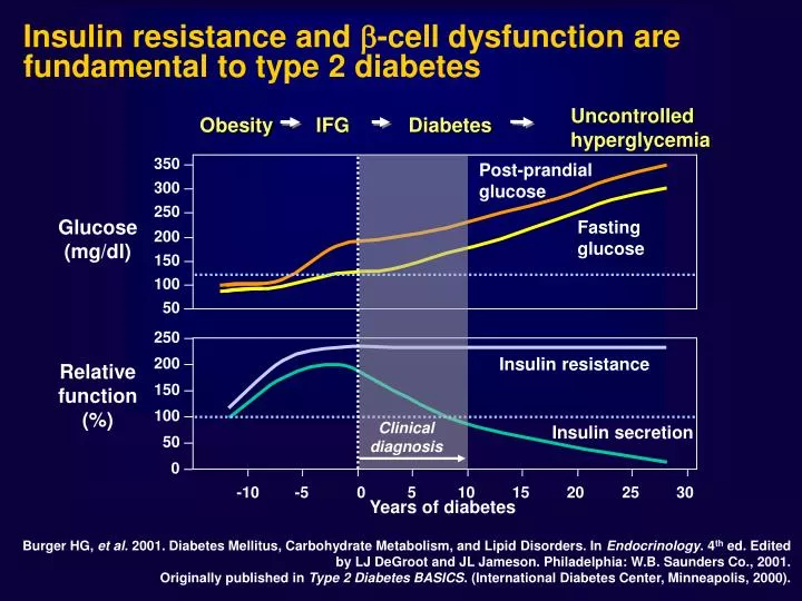 insulin resistance and cell dysfunction are fundamental to type 2 diabetes