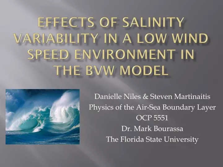 effects of salinity variability in a low wind speed environment in the bvw model