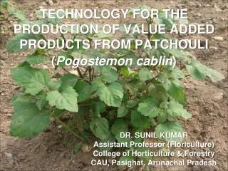 TECHNOLOGY FOR THE PRODUCTION OF VALUE ADDED PRODUCTS FROM PATCHOULI ( Pogostemon cablin )