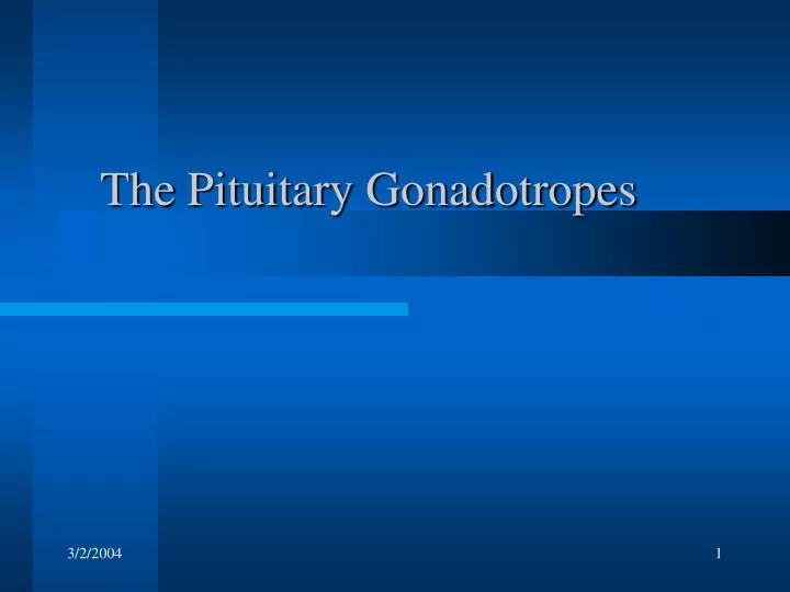 the pituitary gonadotropes