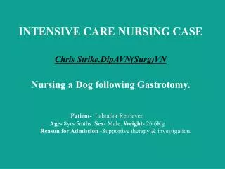 INTENSIVE CARE NURSING CASE Chris Strike.DipAVN(Surg)VN Nursing a Dog following Gastrotomy.