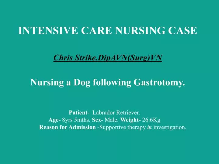 intensive care nursing case chris strike dipavn surg vn nursing a dog following gastrotomy