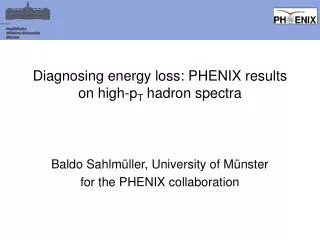 Diagnosing energy loss: PHENIX results on high-p T hadron spectra