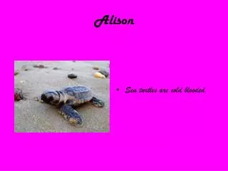 PPT - Alison Rouge Alisonrouge.live PowerPoint Presentation, free ...