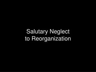 Salutary Neglect to Reorganization