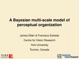 A Bayesian multi-scale model of perceptual organization