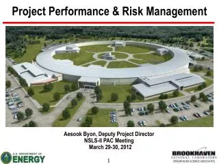 Project Performance &amp; Risk Management