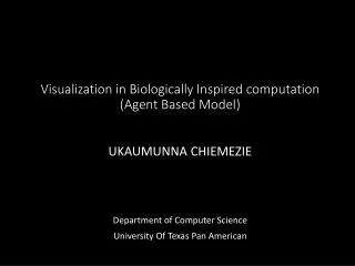 Visualization in Biologically Inspired computation (Agent Based Model)