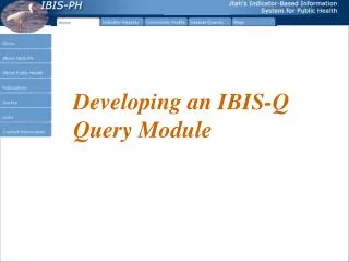 Developing an IBIS-Q Query Module