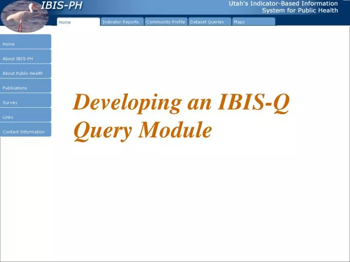 developing an ibis q query module