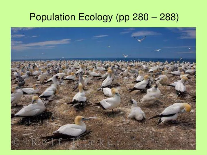 population ecology pp 280 288