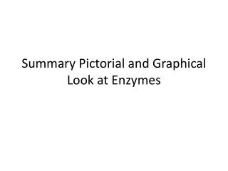 Summary Pictorial and Graphical Look at Enzymes