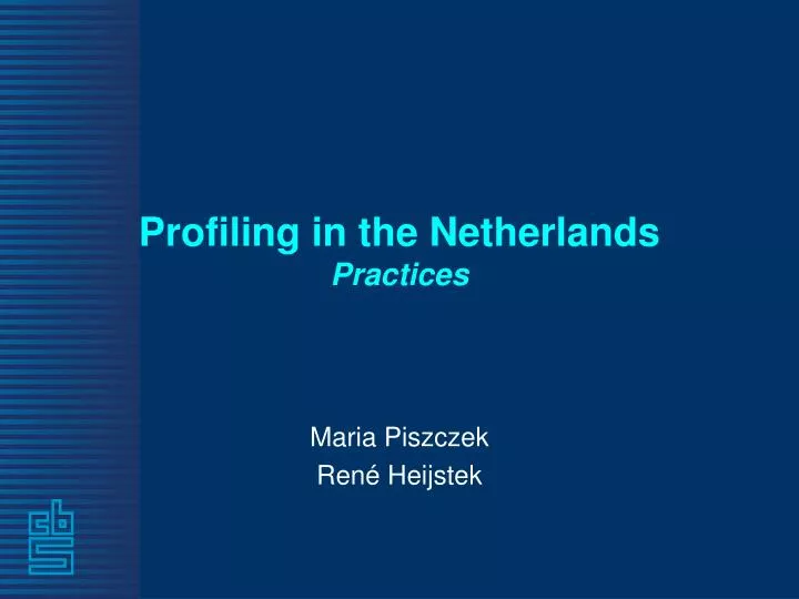 profiling in the netherlands practices