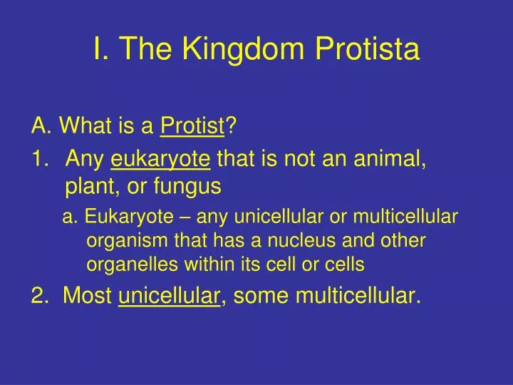 i the kingdom protista
