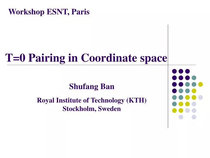 t 0 pairing in coordinate space