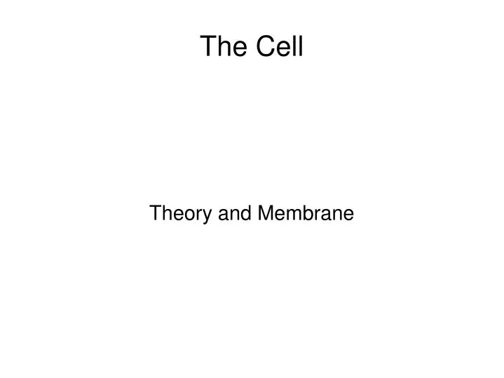 theory and membrane