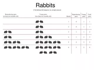 Rabbits