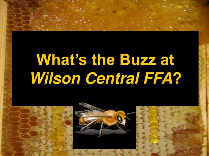 what s the buzz at wilson central ffa
