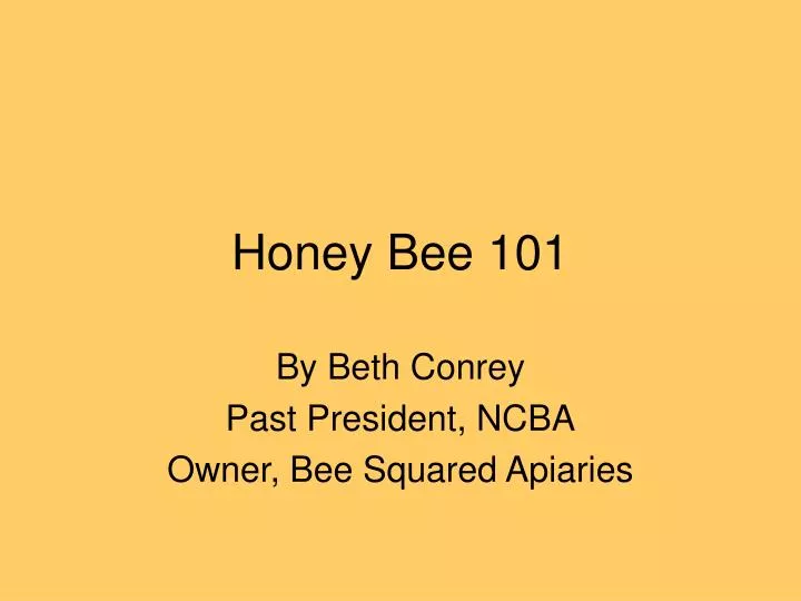 honey bee 101