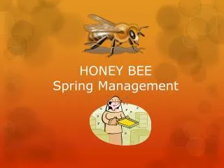 HONEY BEE Spring Management