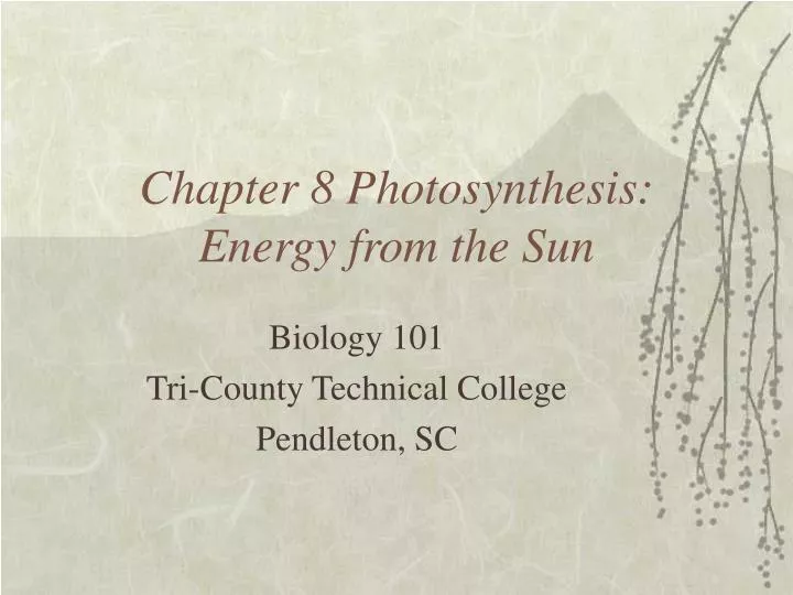 chapter 8 photosynthesis energy from the sun